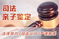 南宁司法亲子鉴定收费明细，南宁专业的司法DNA鉴定中心去哪查找