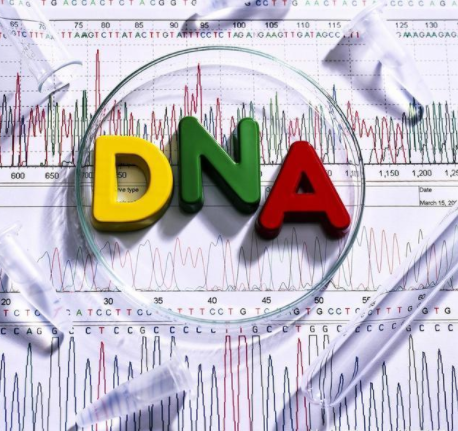 为什么南宁DNA亲子鉴定可信